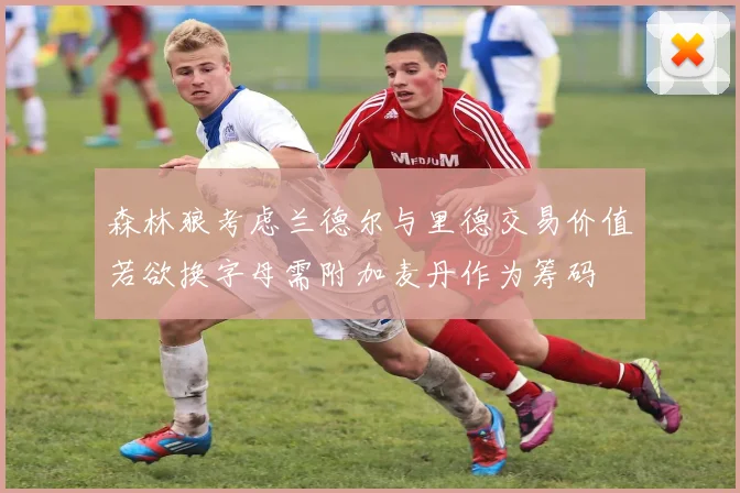 森林狼考虑兰德尔与里德交易价值若欲换字母需附加麦丹作为筹码