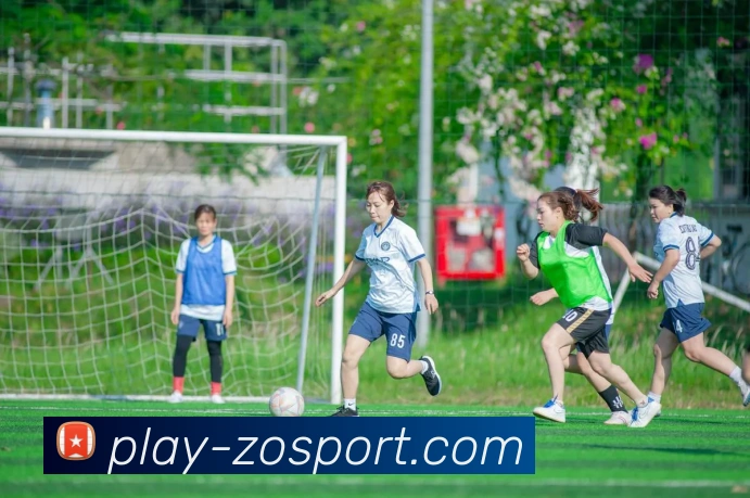 中欧体育平台生态图